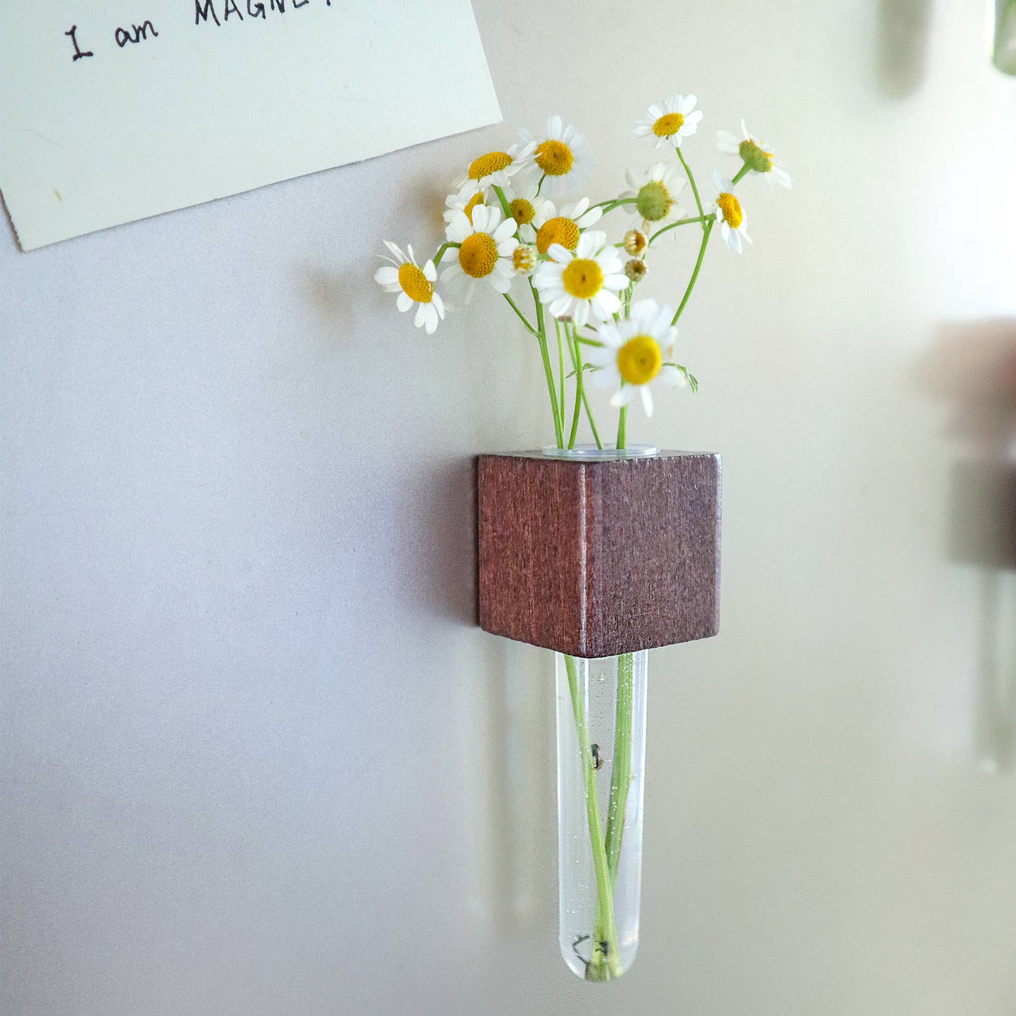 Mini Vase Magnets – Set of 2 – Decorative Fridge Magnets
